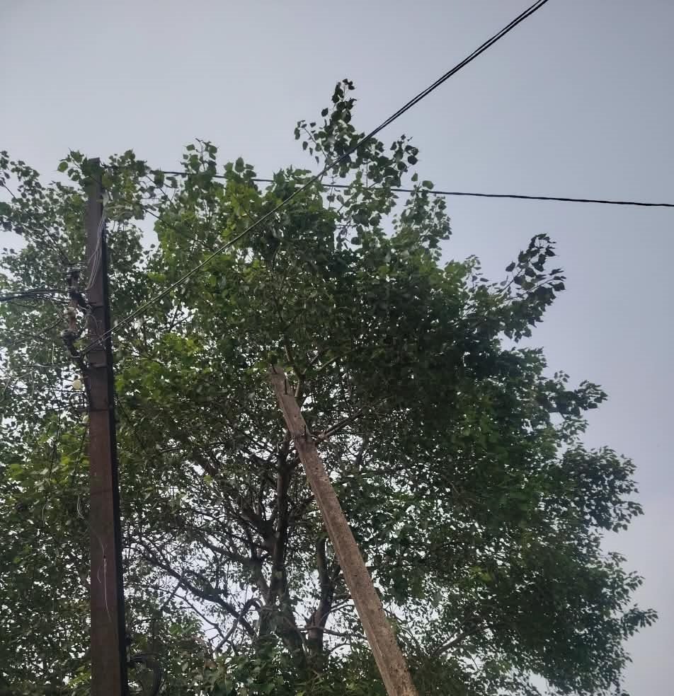 स्ट्रीट लाइट टैक्स वसूली और हर माह बिलों का भुगतान, फिर भी वार्ड 20 लालबड्डा अंधेरे में